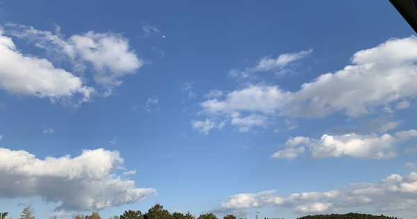 【第3回】波動と未来の関係